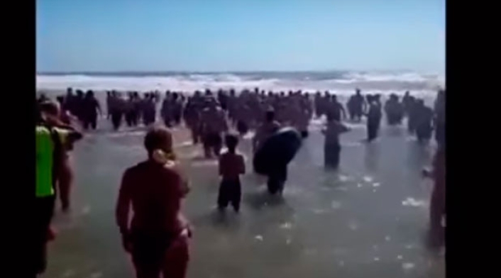 Cadena-Humana-Playa-Youtube.jpg