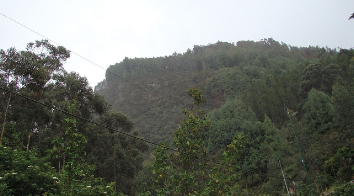 Colp_HF204028-1.jpg