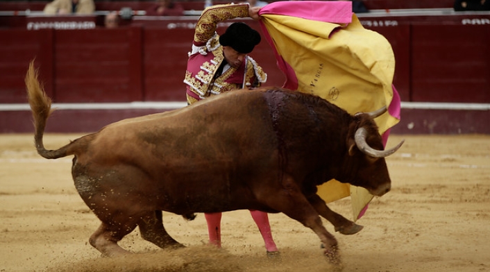 Corridas-de-toros-Colprensa-Juan-Páez.jpg