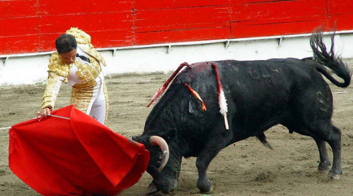 Corridas-de-toros-Colprensa.jpg