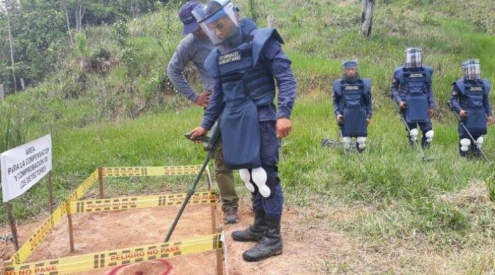 Desminado-LAFm-Suministrada.jpg