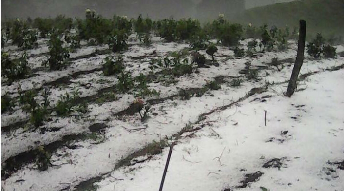 GRANIZADA.jpg