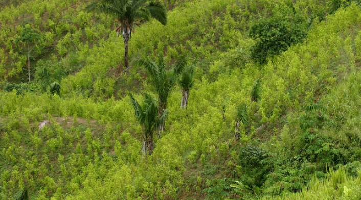 Glifosato-LAFm-Colprensa.jpg