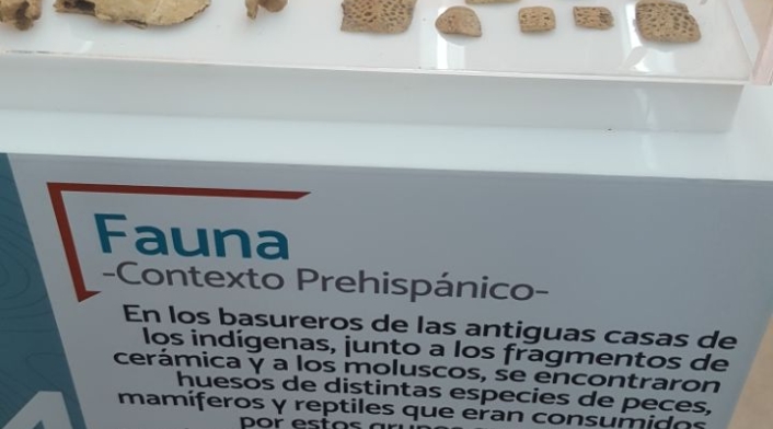 Hallazgos-arqueológicos-Barranquilla-1-1.jpg