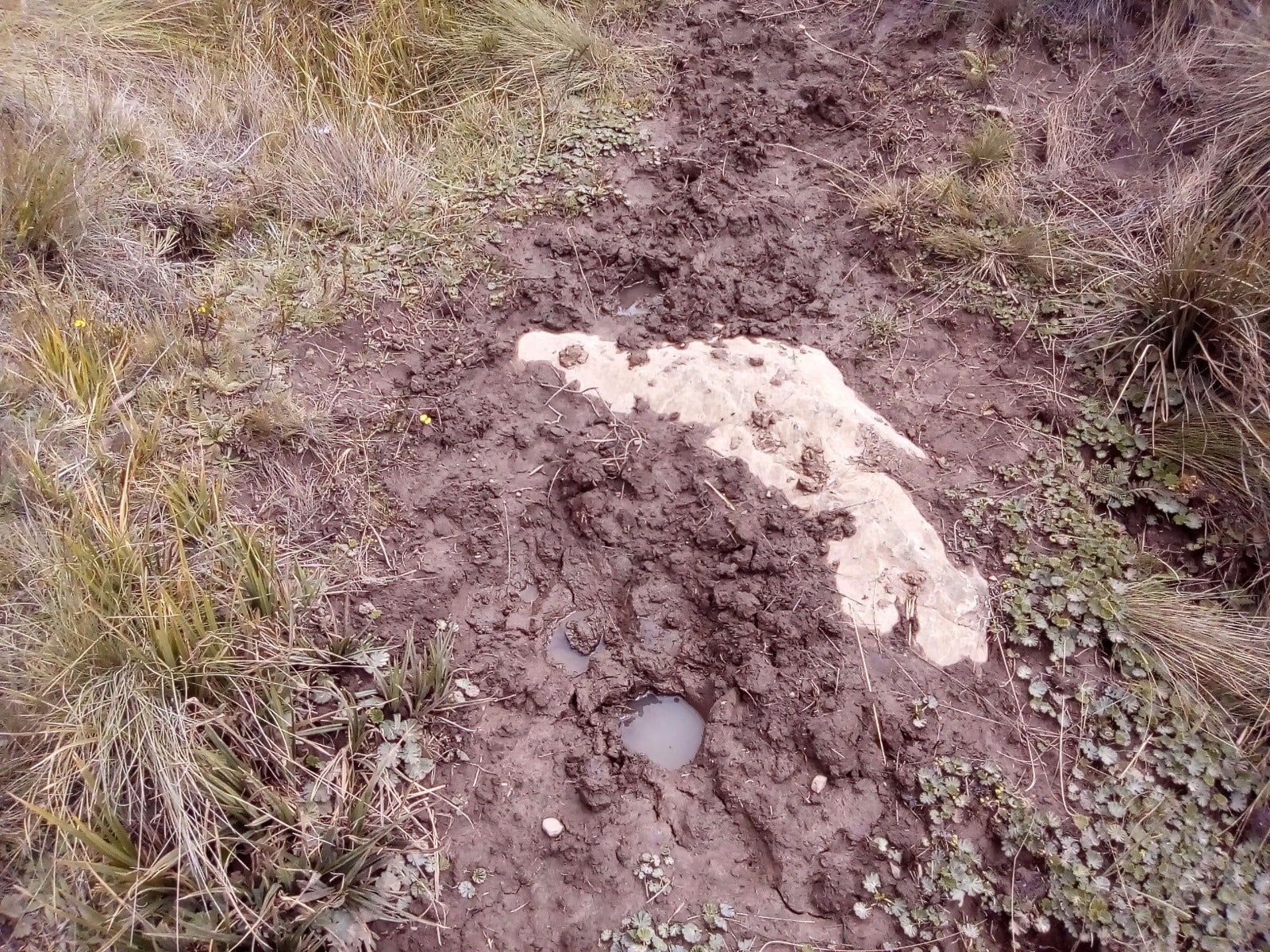 Páramo el almorzadero -Norte de Santander - Suministrada...