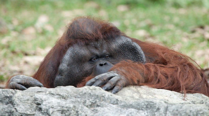 ING_6346_00045.jpg