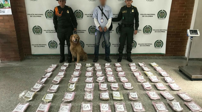 Igor-Canino.jpg