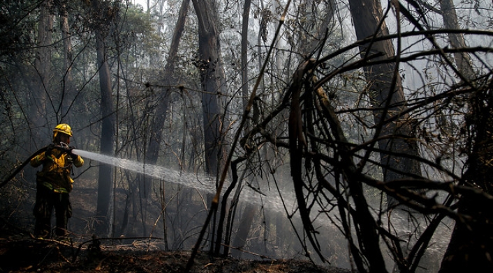 Incendio-forestal-Colprensa-Mauricio-Alvarado.jpg