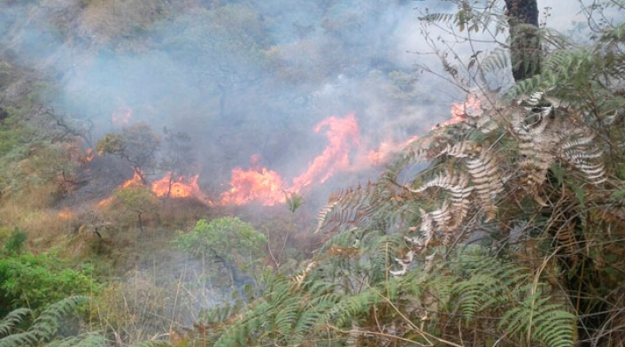 Incendio-forestar-boyacá-Bomberos-Nunchía.jpg