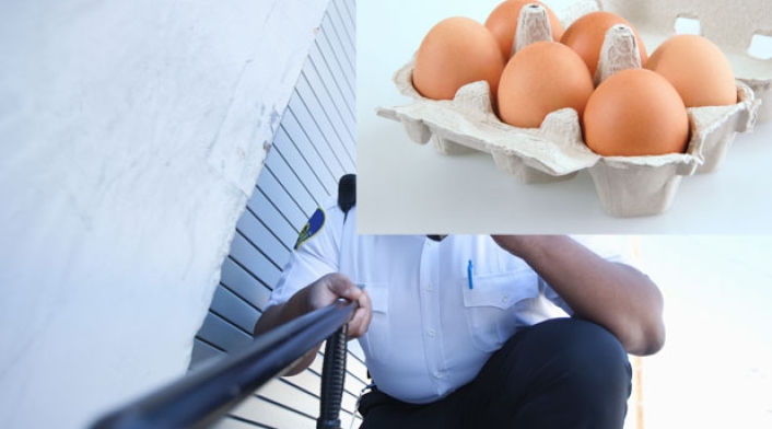 Ingimage-seguridad-huevo.jpg