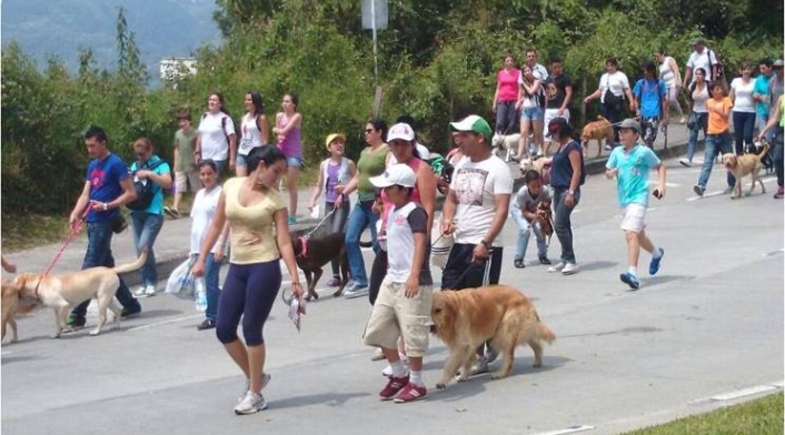 MASCOTAS.jpg