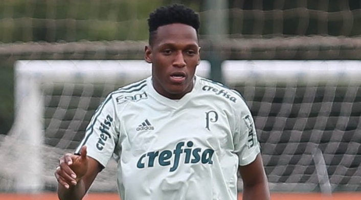 MinaFotoPalmeiras1.jpg