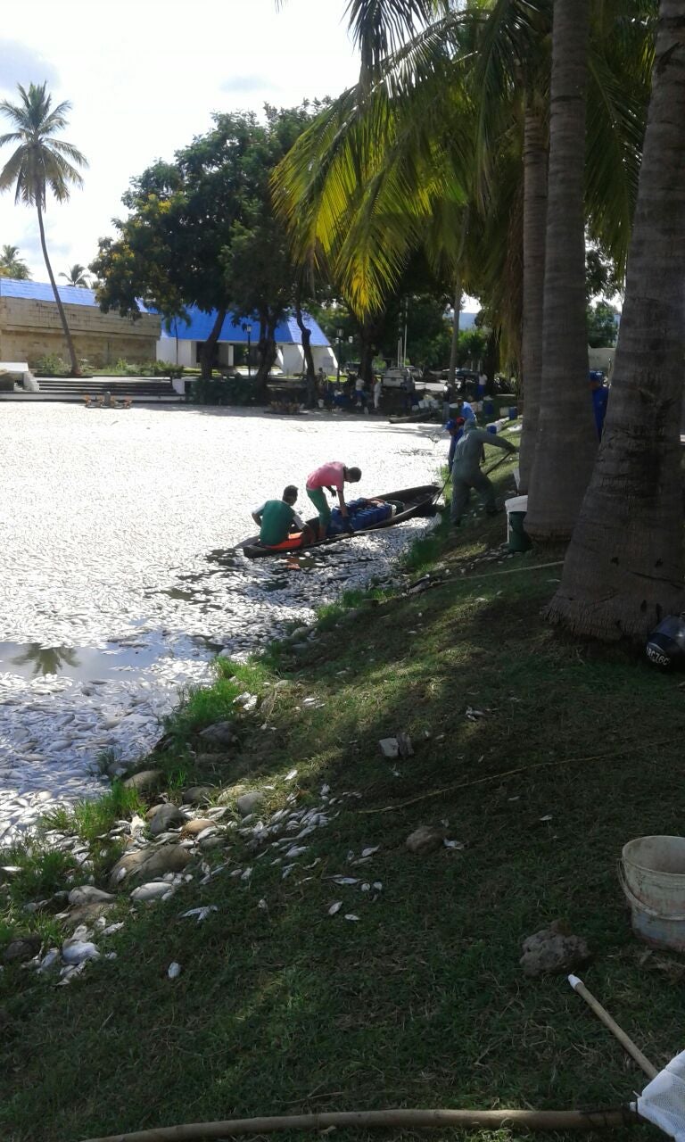 Peces-El-Peñón-4.jpeg