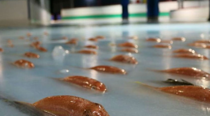 Pistapatinaje.jpg