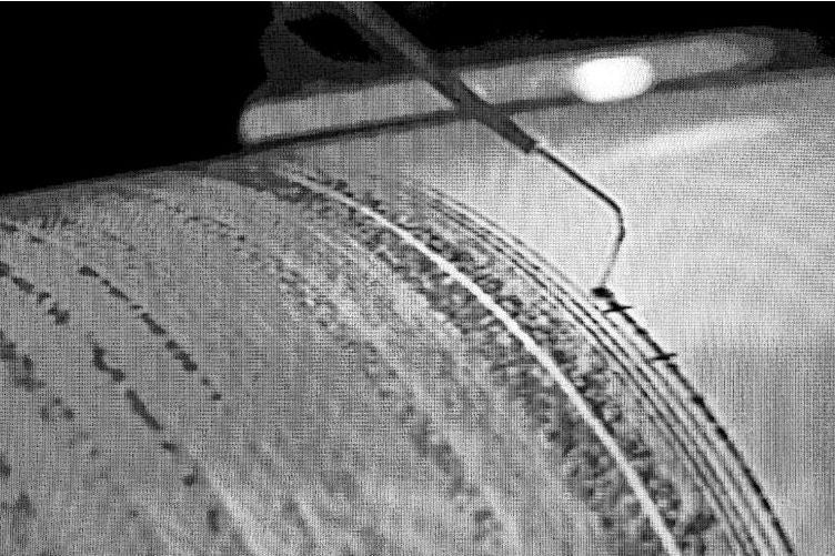 Terremoto-LAFm-Ingimage.jpg
