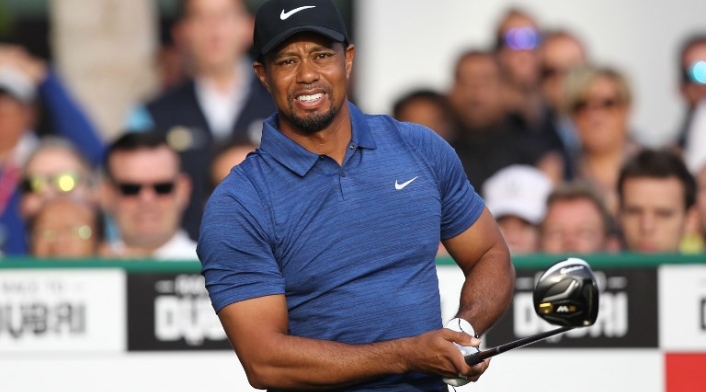 TigerWoodsDetAFPlafm1.jpg