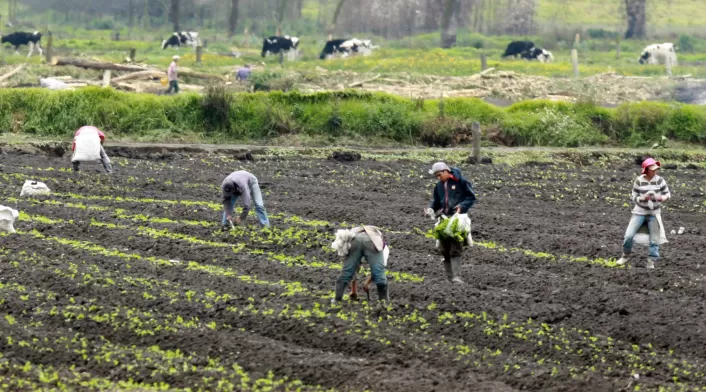 agricultores agricultores