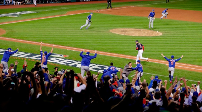 cachorros.jpg
