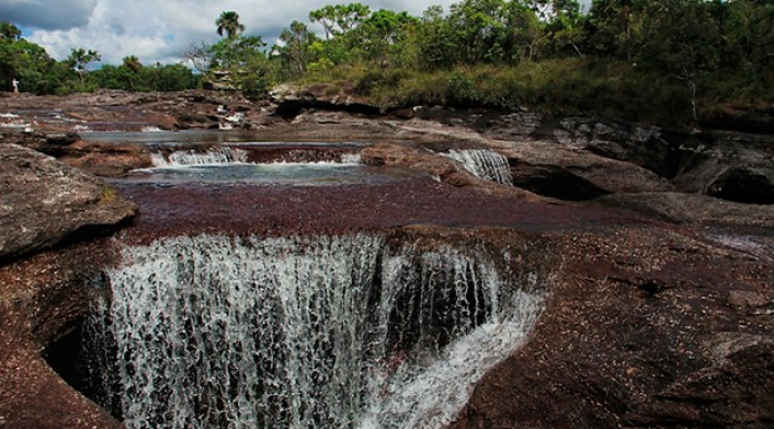 canocristales61.jpg