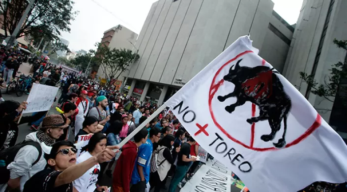 consultaantitaurinacolprensa.jpg