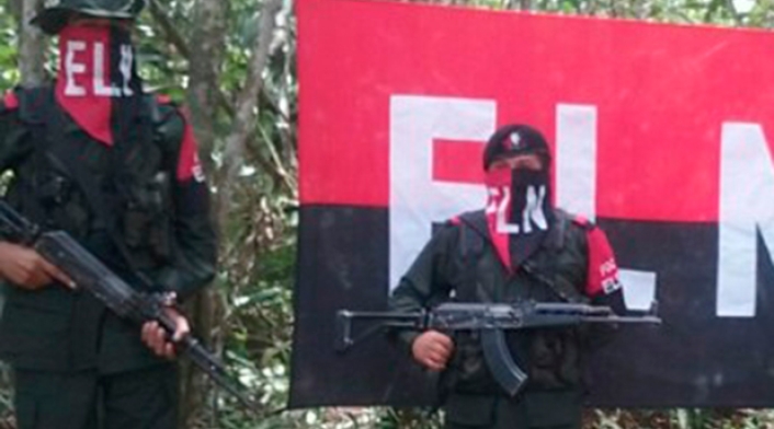 eln1.jpg