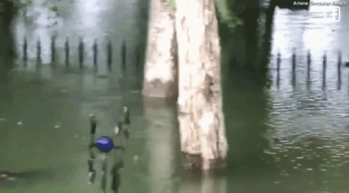 giphy-2-7.gif