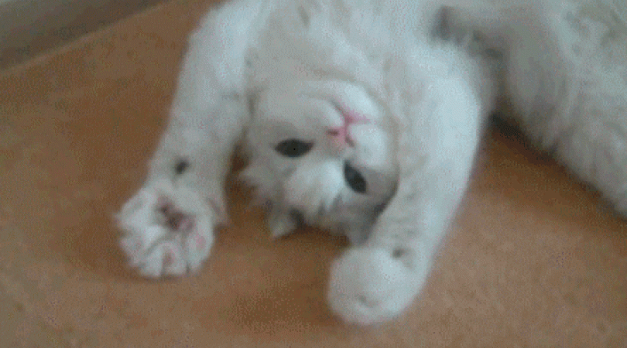 giphy-3-2.gif