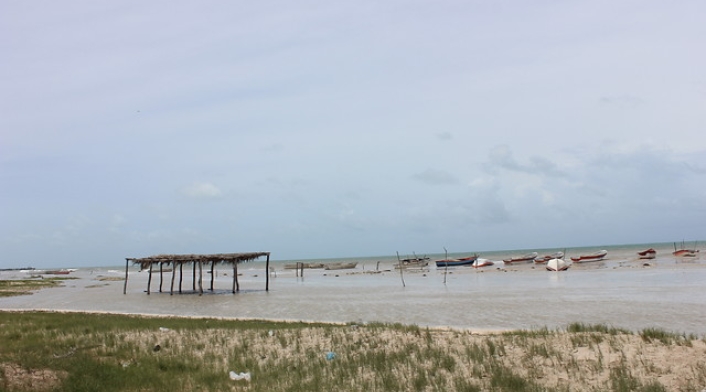 laguajiracolprensa-2.jpg