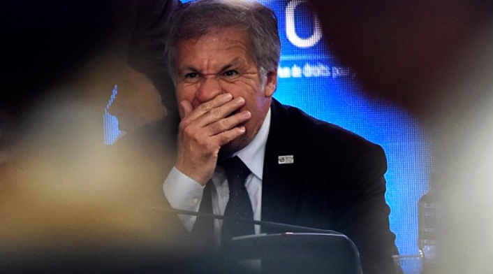 luisalmagroafp.jpg