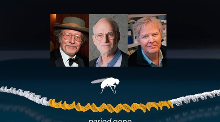 nobeldemedicina.jpg