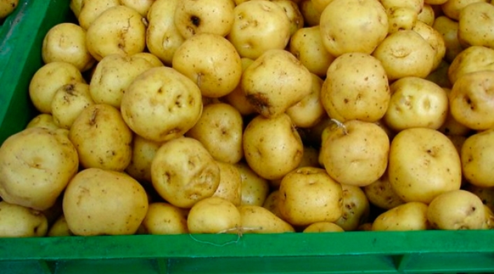 papacriolla.jpg