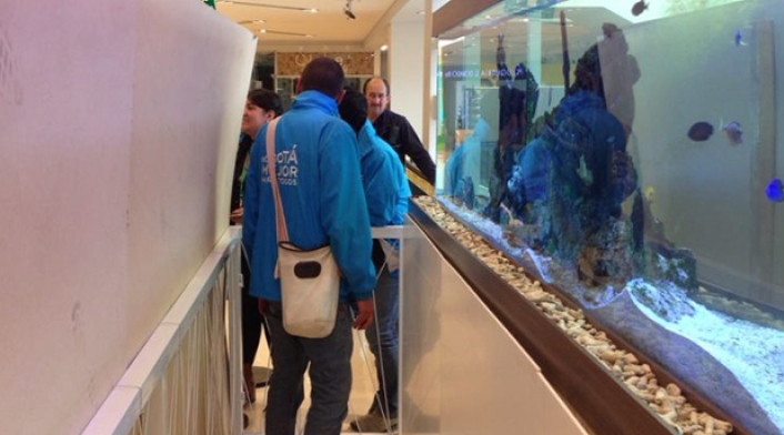 peces1.jpg