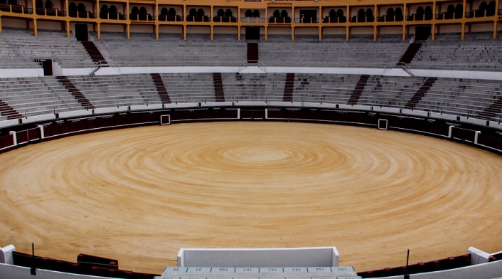 plazadetoroslasantamariacolprensalafm.jpg