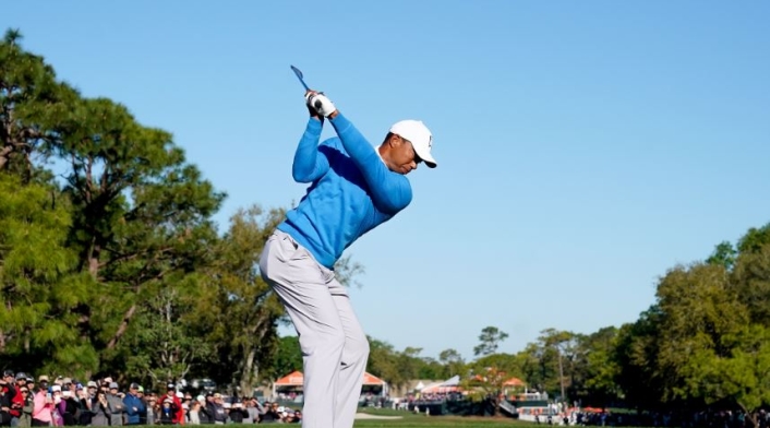 tiger.jpg