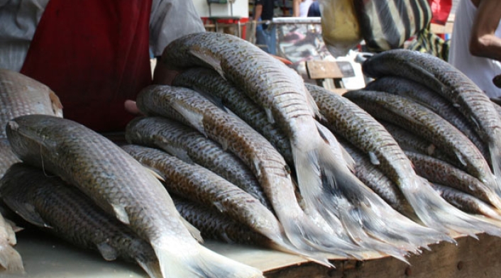venta-de-pescado-Colprensa.jpg
