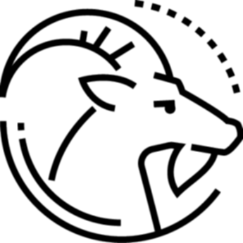 image Capricornio
