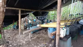 Narcotráfico 