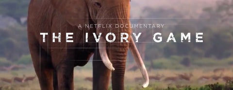 'The Ivory Game', el documental que destapa el lado oscuro del marfil
