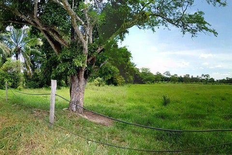 tierras1.jpg