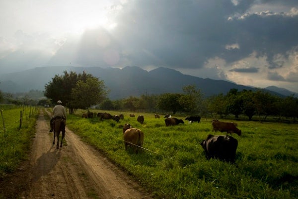 tierrascolombianaslafm-1-1.jpg