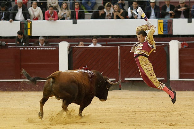 toroscolprensa.jpg