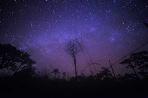universoovniextraterrestreingimagereflafm1.jpg