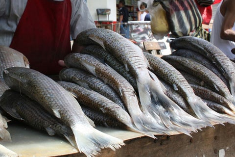 venta-de-pescado-Colprensa.jpg