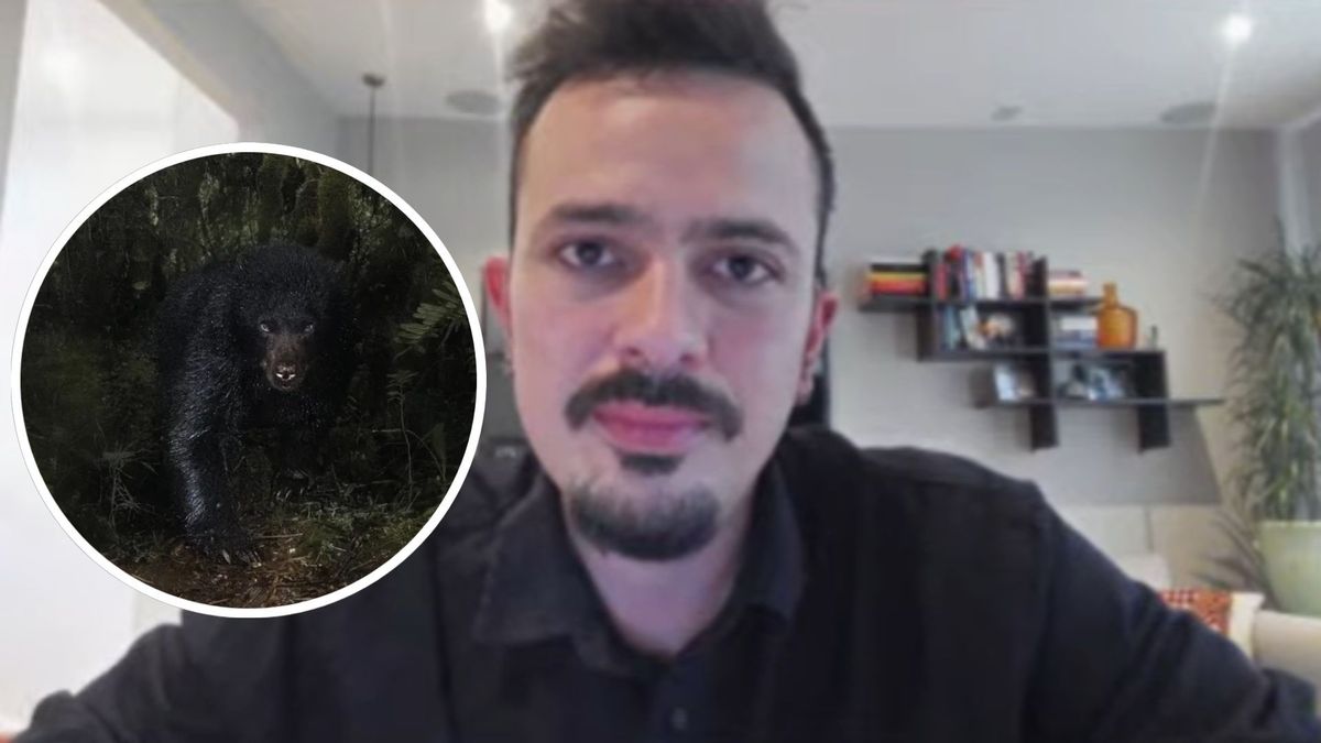 El fotógrafo colombiano Santiago Monroy ganó el premio a la mejor foto del mundo por un oso de páramo.