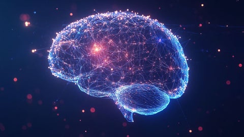 El cerebro tiene capacidades aún desconocidas para los expertos
