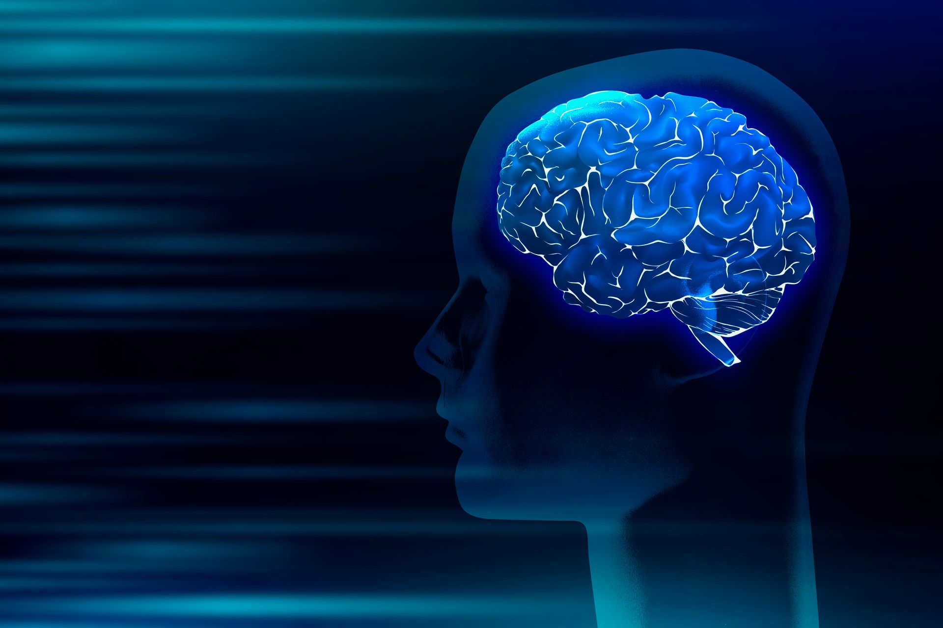 El cerebro humano está en constante cambio durante la vida.