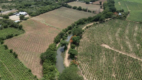 Otros barrios “ha sido bastante afectado” por la acumulación de agua y desechos.