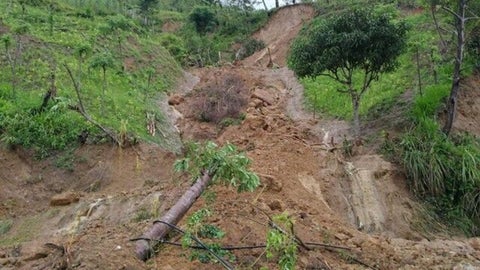 La tragedia ocurrió aproximadamente a las 5:00 a.m.