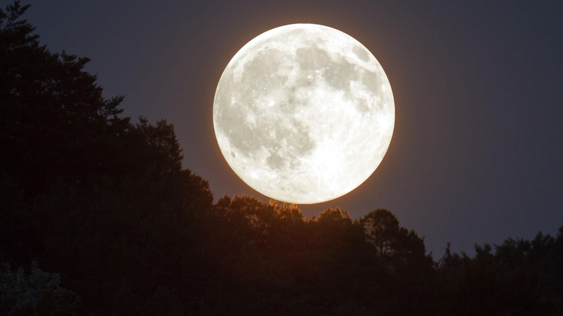 La Superluna del 5 de noviembre de 2025 será la más grande y luminosa del año.