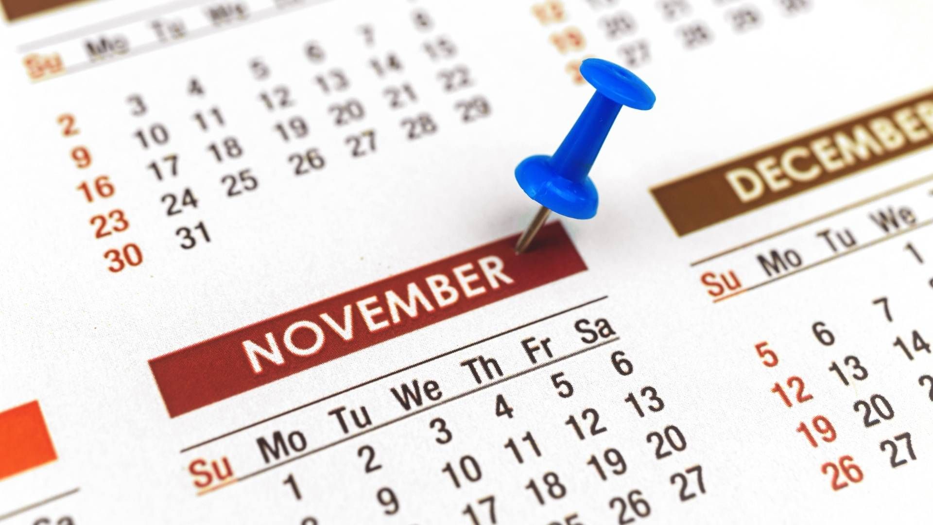 Festivos de noviembre en Colombia: Cuántos hay y en qué fechas caen